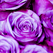 账号邀请平台的网页DDOS攻击平台